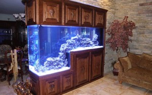 Custom Built Aquarium