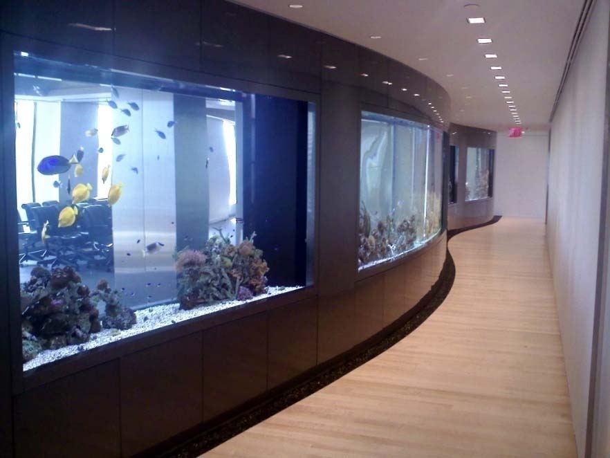 large modern fish tank